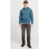 Jack&jones Jjestar Jj Sweat Hood Noos Heren Trui - Oceanview