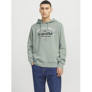 JACK&JONES JJELOGO SWEAT HOOD 2 CO/25 NOOS Heren Trui - Iceberg Green Melange