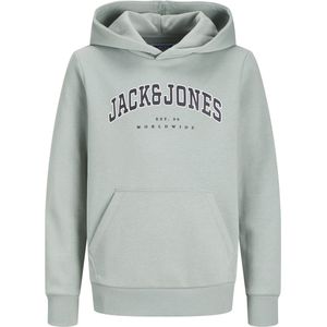 Jack&jones Junior Jjecaleb Varsity Sweat Hood Noos Jnr Jongens Trui - Iceberg Green Loose