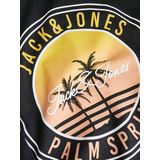 Jack & Jones Rundhalsshirt »JJPALM TEE SS CREW NECK LN«