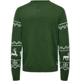 Gebreide Pullover - Zacht - Jacquardstof - Ronde Hals - Lange Mouwen