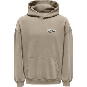 Only Kobramon Washed Hoodie Cs Swt Jongens Trui