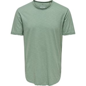 ONLY & SONS Rundhalsshirt ONSBENNE LONGY SS TEE NF 7822 NOOS