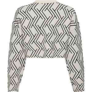 ONLY meisjes kids trui ANNY Birch Black Cropped Fit