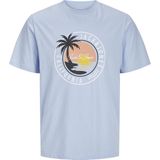 JACK & JONES Jjpalm Tee Ss Crew Neck Jnr Jjpalm Tee Ss Crew Neck Jnr Heren (1 stuk), Chambray Blue., 140