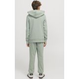 Jack and Jones Junior - Hoodie - Blauw - Katoen - Met Capuchon
