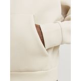 Jack&jones - Jcokinetic Sweat Hood Ln - Heren - Sweaters