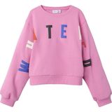 NAME IT - NKFPLILJE - Sweater