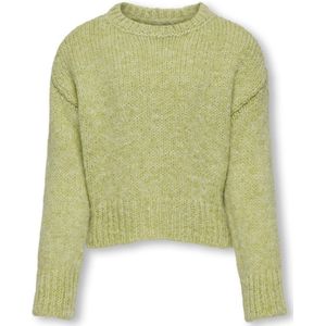 Only Kogmarie Ls o-Neck Short Knt Meisjes Trui