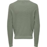 Only & Sons - ONSTONY - Gebreide Trui - Pastelgroen