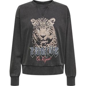 ONLY ONLLUCINDA O-NECK SWT NOOS Dames Trui - Black Evolve On Repeat