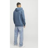 Jack&jones Jjelogo Sweat Hood 2 Co/25 Noos Heren Trui - Oceanview