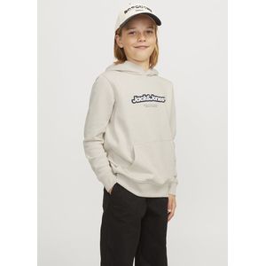 Jack & Jones Junior Jorvesterbro Newton Brndg Sweat Bf Jnr Jongens Trui