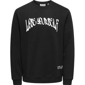 Sweatshirt - Blauw - Katoen/Polyester - Regular Fit