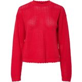 Pcscout - Gebreide Trui - Ronde Hals - Lange Mouwen - Geribde Manchetten