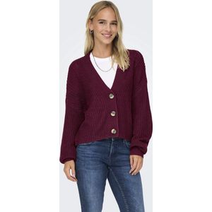 Vest - V-Hals - Lange Mouwen - Knoopsluiting - Regular Fit