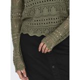 Jacqueline de Yong Trui Jdysun Lay Boatneck Pullov. Knt 15287384 Ivy Green Dames