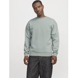 Jack&jones Jjebradley Sweat Crew Noos Heren Trui Iceberg Green