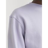 Jack & Jones Sweatshirt JJESTAR BASIC SWEAT CREW NECK NOOS mit Rundhalsausschnitt