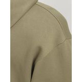 Jack&jones Jjebradley Sweat Hood Noos Heren Trui - Coriander