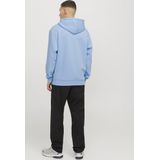 Sweatshirt 'JJEBradley'