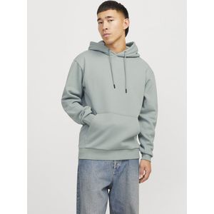 Jack&jones Jjebradley Sweat Hood Noos Heren Trui - Iceberg Green