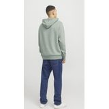 Jack & Jones Kapuzensweatshirt »JJELOGO SWEAT HOOD 2 COL 24/25 NOOS«, mit Logo Print