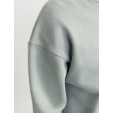 Jack & Jones - JJEURBAN EDGE SWEAT CREW NECK - Sweatshirt - Iceberg Green - Met Ribboorden