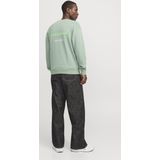 Jack & Jones - JJEBRADLEY GRAPHIC SWEAT CREW NOOS - Sweatshirt - Iceberg Green - Zonder Capuchon - Ronde Hals