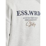 Sweatshirt - Licht Geborsteld - Ronde Hals - Lange Mouwen - Losse Pasvorm