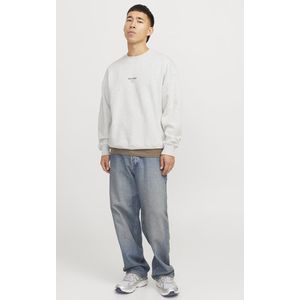 Sweater - Ronde Hals - Lange Mouwen - Losse Pasvorm - Geborstelde Stof