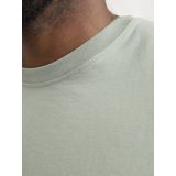 JACK & JONES - Jjestar Jj Tee SS Noos Pls - T-shirt - IJsberg Groen
