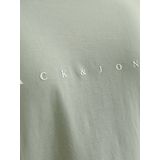 JACK & JONES - Jjestar Jj Tee SS Noos Pls - T-shirt - IJsberg Groen