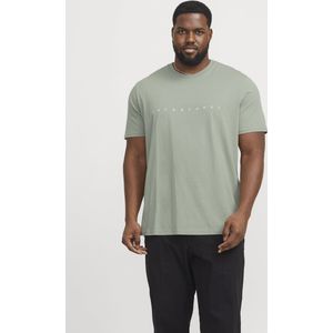 Jack & Jones Plus size heren t-shirt jjestar iceberg