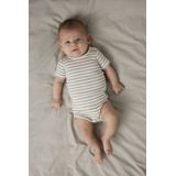 Body - Gestreept - Ribgebreid - Ronde Hals - Korte Mouwen