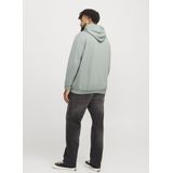 Jack&jones Plus Jjebradley Sweat Hood Noos Pls Heren Trui - Iceberg Green