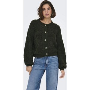 JDY - Jdyeira - Vest - Gebreid - O-hals - Lange Mouwen - Knit Fit