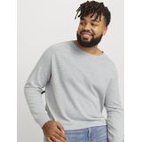 Jack & Jones PlusSize Rundhalspullover JJEHILL KNIT CREW NECK NOOS PLS mit Rundhalsausschnitt