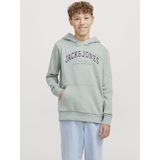 Jack&jones - Jjecaleb Varsity Sweat Hood Noos Jnr - Jongens - Sweaters