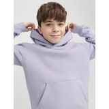 Jack&jones - Jjestar Jj Sweat Hood Noos Jnr - Jongens - Sweaters