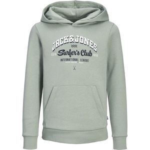 Jack&jones Junior Jjelogo Sweat Hood 2 Co/25 Noos Jnr Jongens Trui - Iceberg Green