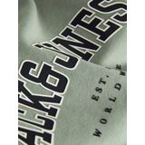 Jack&jones - Jjecaleb Varsity Sweat Crew Noos Mni - Jongens - Sweaters