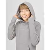Jack&jones - Jjestar Jj Sweat Hood Noos Jnr - Jongens - Sweaters