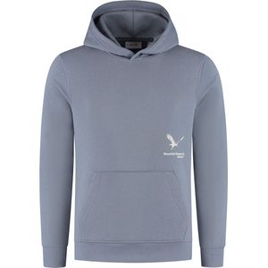 Only & Sons Brennan Hoodie Heren