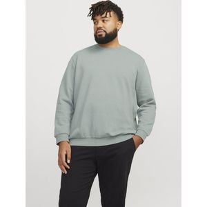 Plus-Size Sweatshirt - Geborstelde Stof - Ronde Hals - Lange Mouwen - Zacht