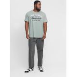 JACK JONES PLUS JJELOGO TEE SS O-NECK NOOS PLS Heren T-shirt - Iceberg Green Melange