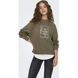Jacqueline de Yong Trui Jdybambi Emb Sweat Jrs 15334006 Walnut/ Love Emb Dames