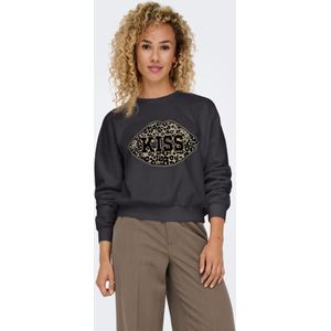 Lauren - Sweatshirt - Grijs - Katoen