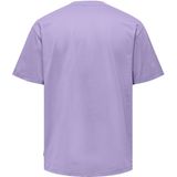 ONLY & SONS Rundhalsshirt »ONSFRED RLX SS TEE«