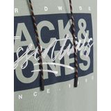 Jack&jones Jjcolton Sweat Hood Heren Trui - Iceberg Green